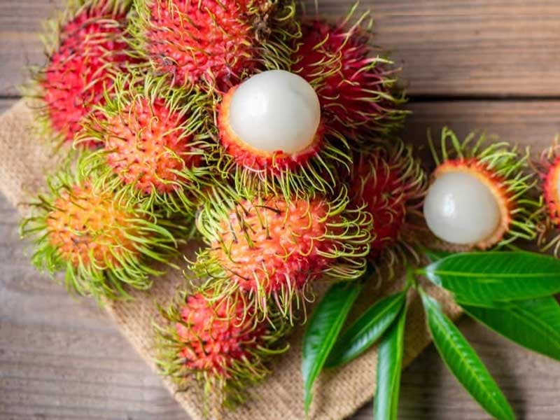 Chôm Chôm / Rambutan — Chôm Chôm / Rambutan