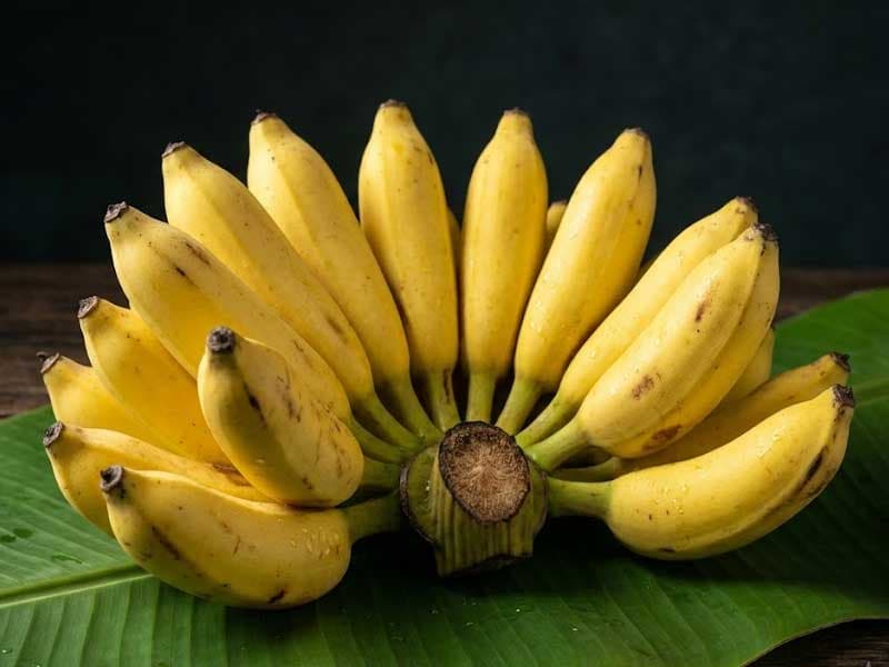 Chuối Xiêm / Vietnamese Siam Banana — Chuối Xiêm / Vietnamese Siam Banana