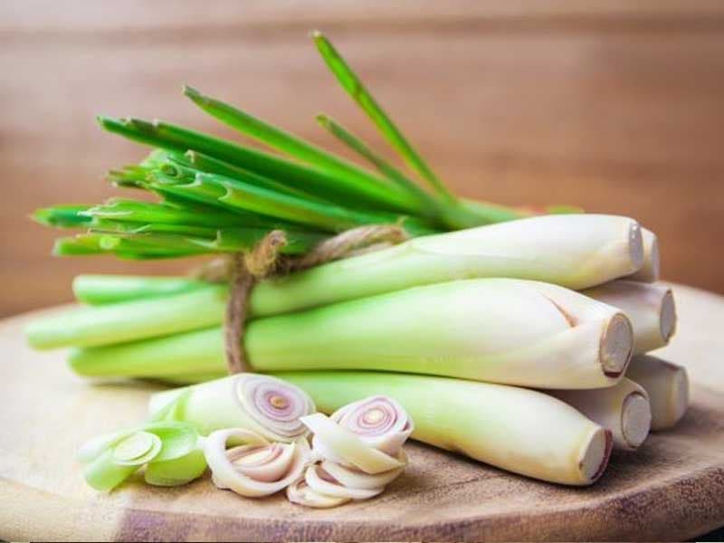 Củ Sả / Lemongrass — Củ Sả / Lemongrass