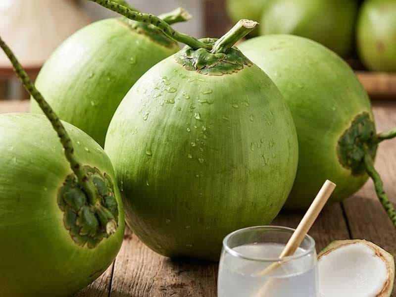 Dừa Xiêm / Siam Coconut — Dừa Xiêm / Siam Coconut
