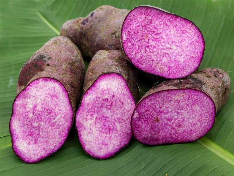 Khoai Mỡ / Purple Yam — Khoai Mỡ / Purple Yam