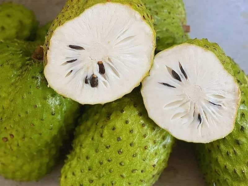 Mãng Cầu Xiêm / Soursop — Mãng Cầu Xiêm / Soursop