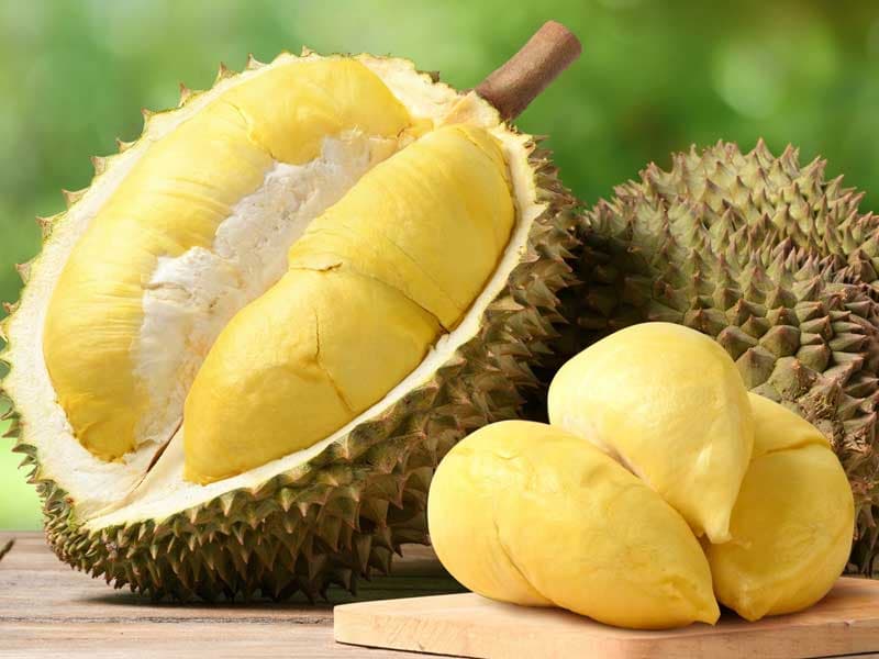 Sầu Riêng / Ri6 & Monthong Durian — Sầu Riêng / Ri6 & Monthong Durian