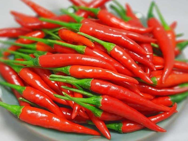 Ớt / Chili — Ớt / Chili