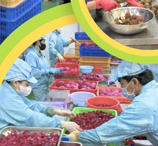 Kiểm soát chất lượng