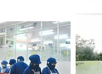 Cleanroom production line inside the Loc Phat factory